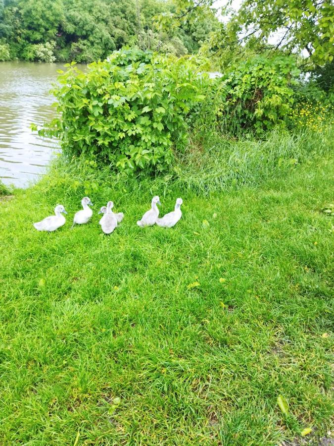 Apartman Na Jezeru Zagreb Bagian luar foto