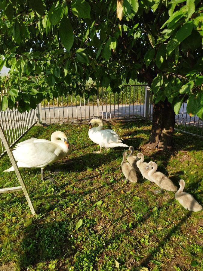Apartman Na Jezeru Zagreb Bagian luar foto